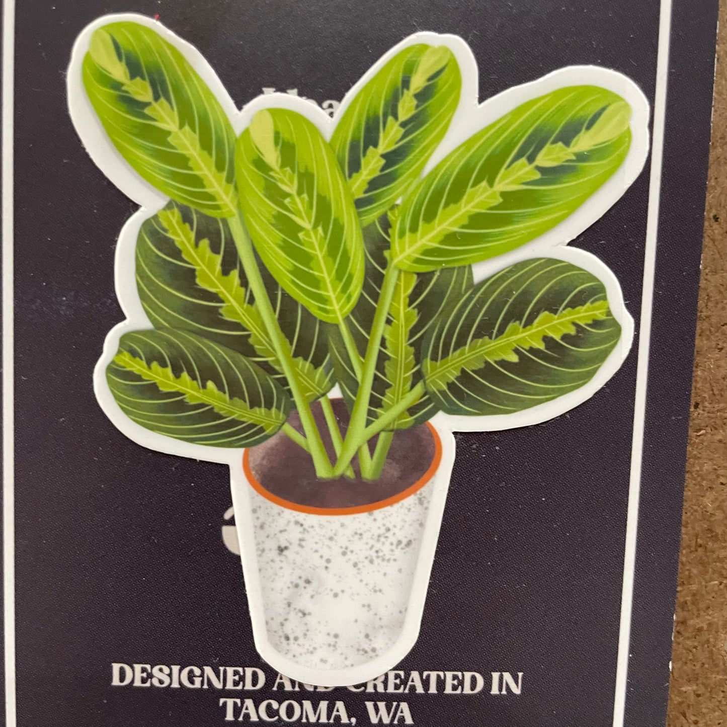 Plants Sticker