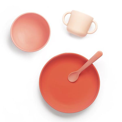 Premium Silicone Baby Meal Set